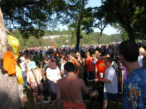 the crowd